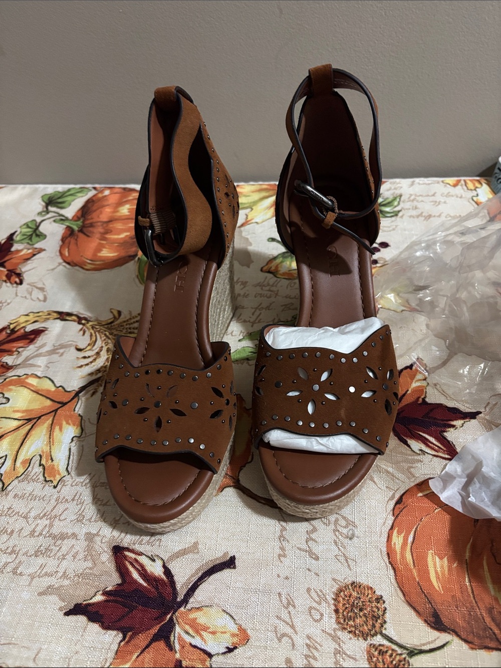 Coach Brown Suede Cutout Wedge Sandals